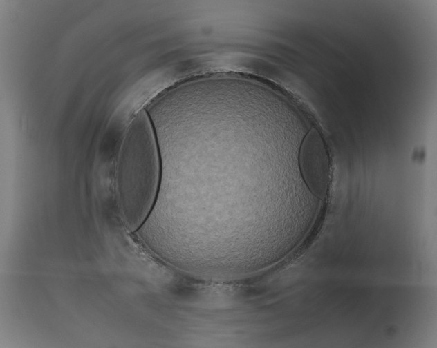 X0000113210785200910081316