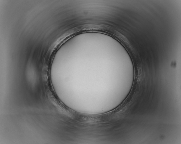 X0000113210786200910081316