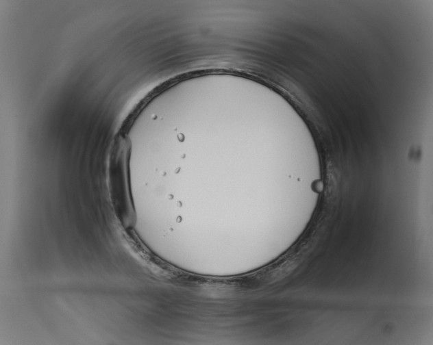 X0000113210788200910081316