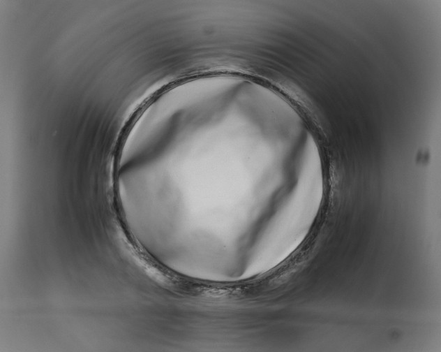 X0000113210790200910081316