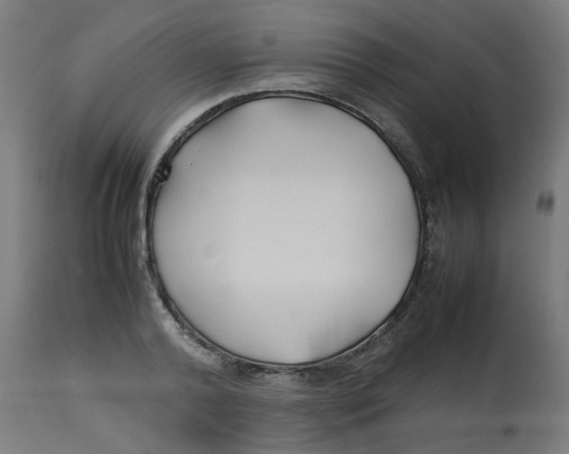 X0000113210792200910081316