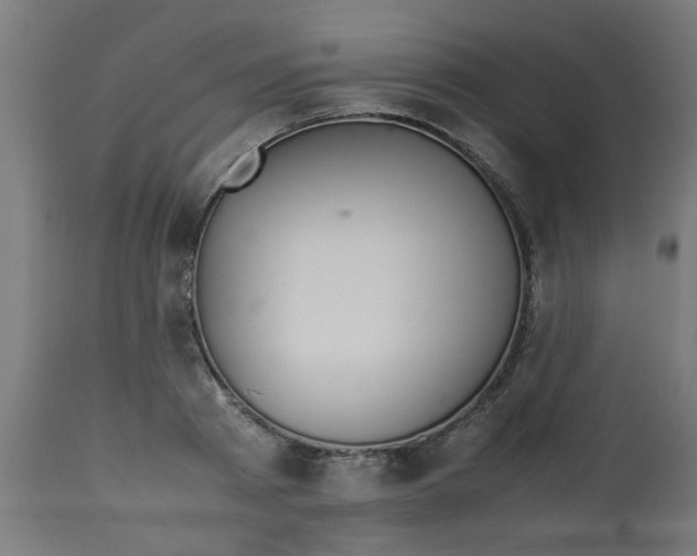 X0000113210793200910081316