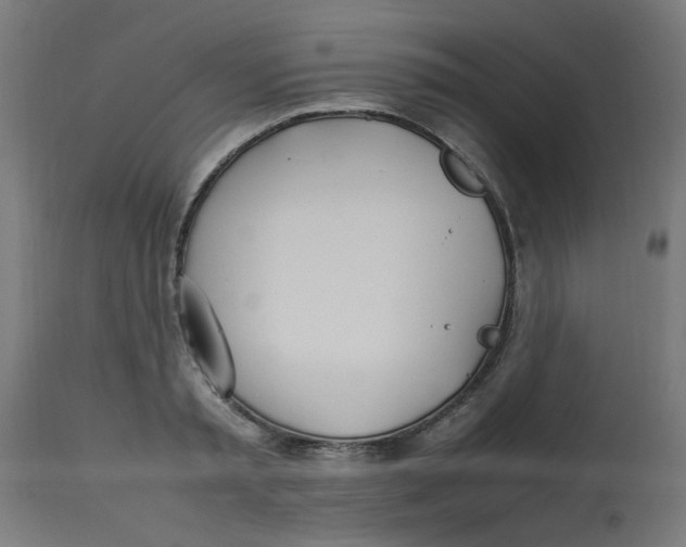 X0000113210797200910081315