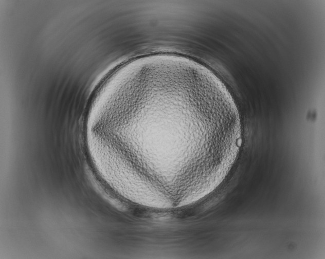 X0000113210798200910081315