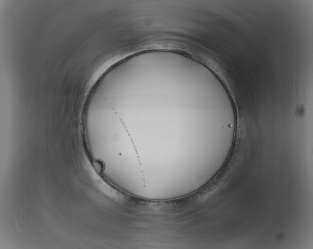 X0000113210803200910081315