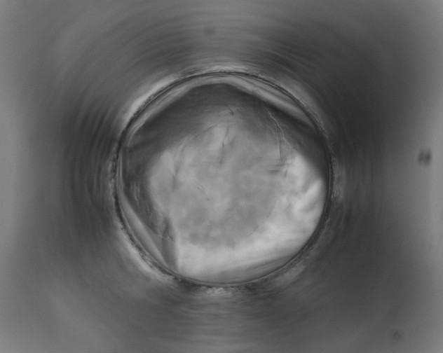 X0000113210806200910081315