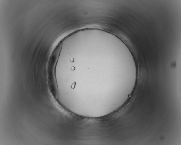 X0000113210808200910081315