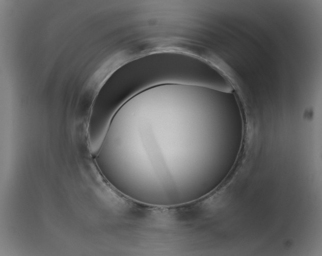 X0000113210809200910081315