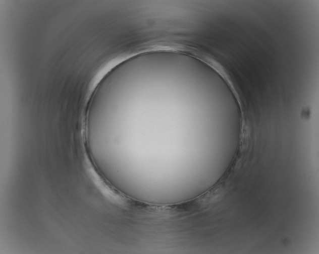 X0000113210811200910081315