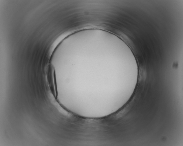 X0000113210812200910081315