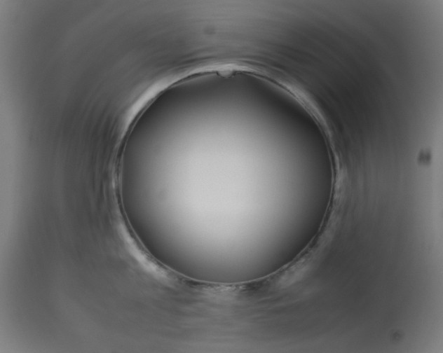 X0000113210813200910081315