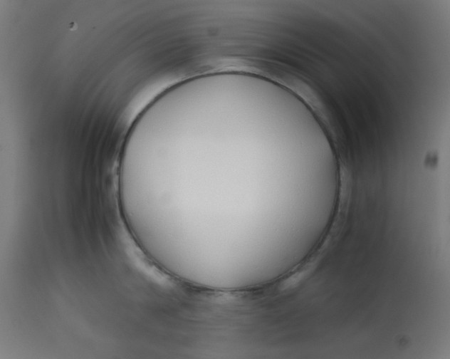 X0000113210814200910081315