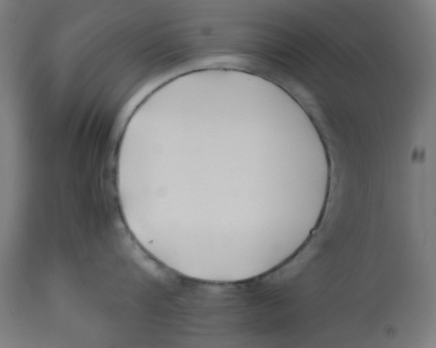 X0000113210816200910081315