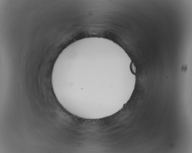 X0000113210817200910081315