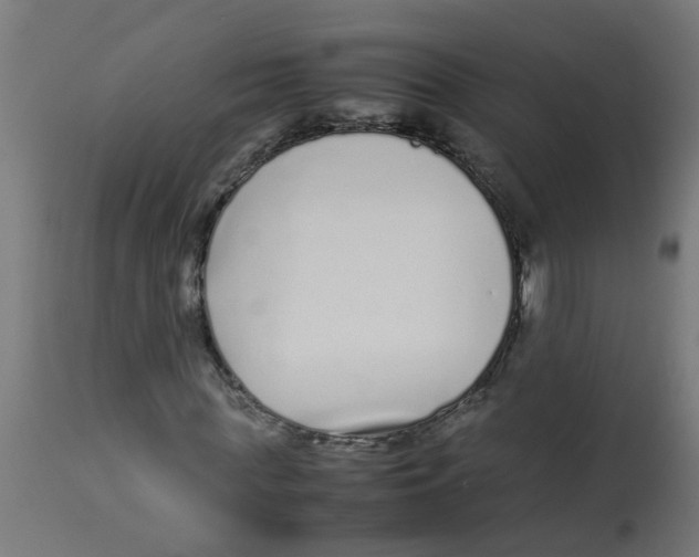 X0000113210819200910081315