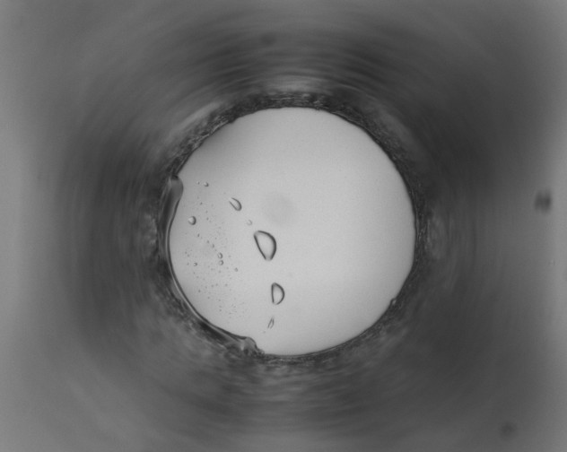 X0000113210821200910081315