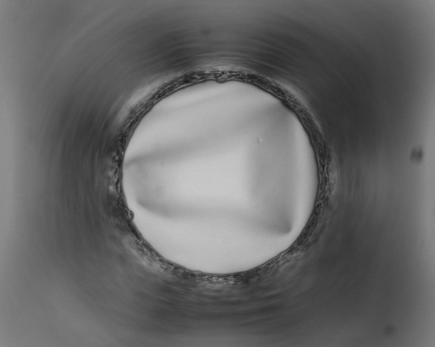 X0000113210823200910081315