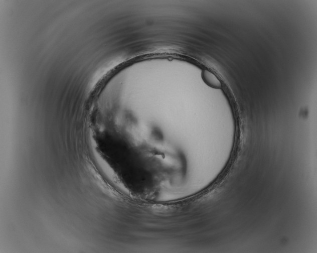 X0000113210827200910081315