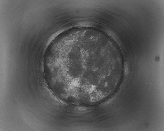 X0000113210829200910081315