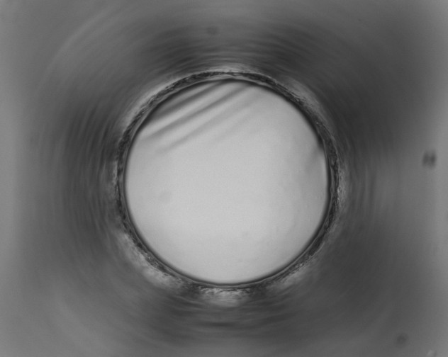 X0000113210831200910081315