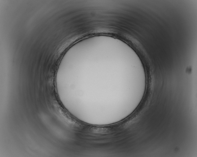 X0000113210833200910081315