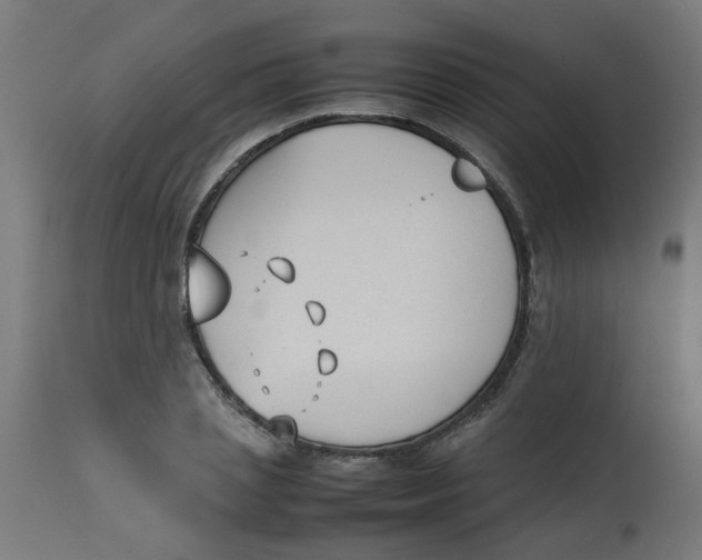 X0000113210837200910081315