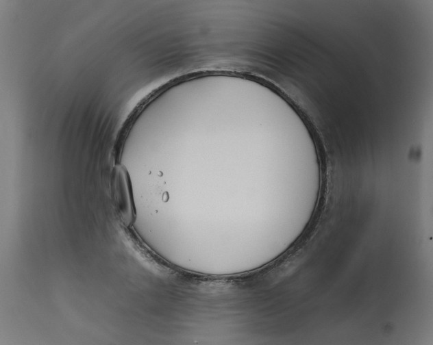 X0000113210838200910081315