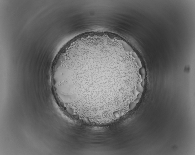 X0000113210839200910081315