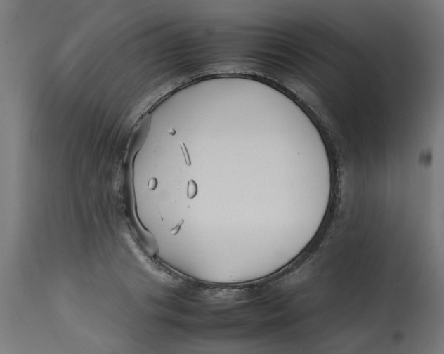 X0000113210841200910081315