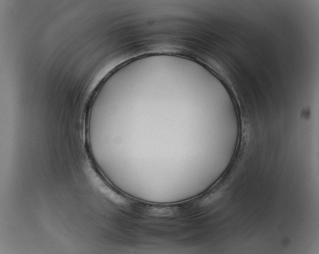 X0000113210843200910081315