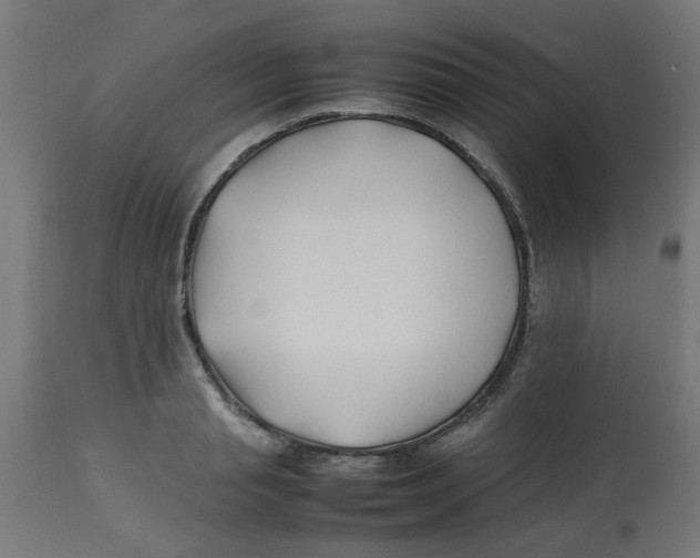 X0000113210845200910081315