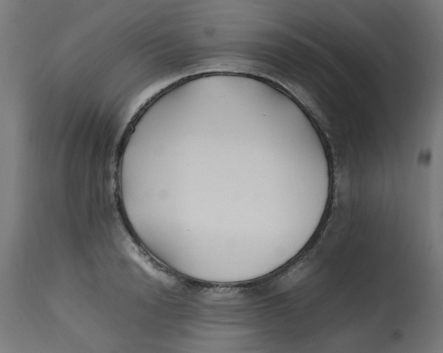 X0000113210846200910081315