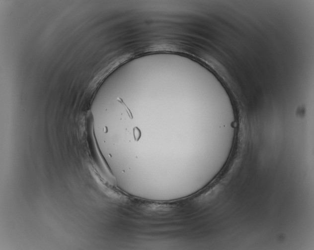 X0000113210849200910081315