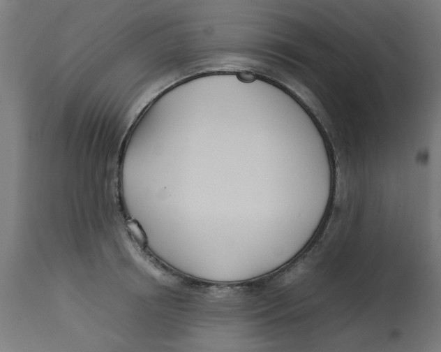 X0000113210850200910081315