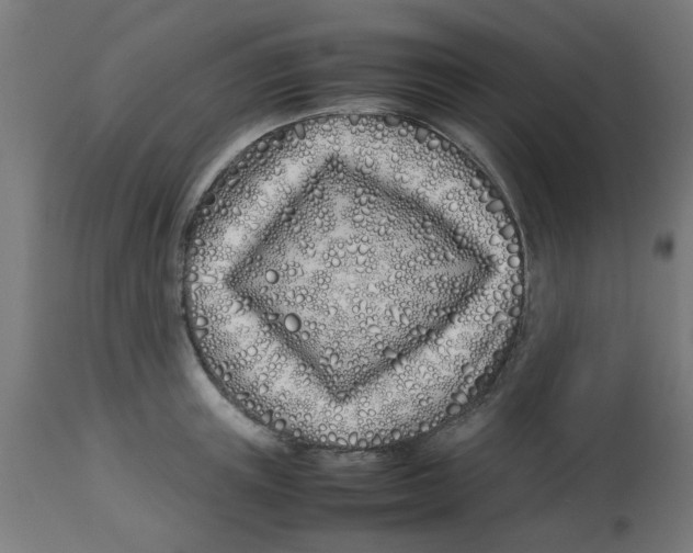 X0000113210851200910081315