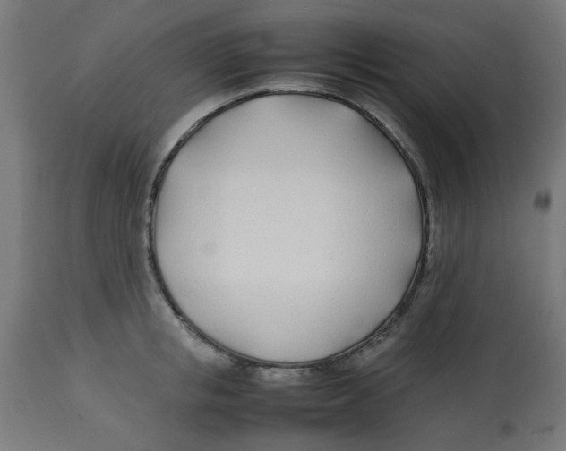 X0000113210853200910081315