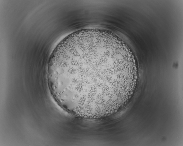 X0000113210855200910081315