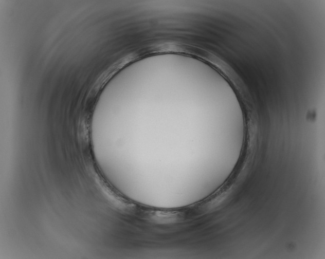 X0000113210857200910081315