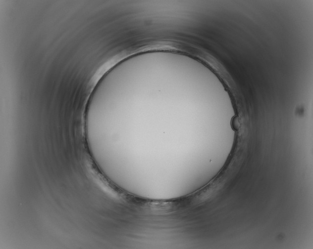 X0000113210858200910081315