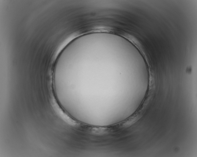 X0000113210859200910081315