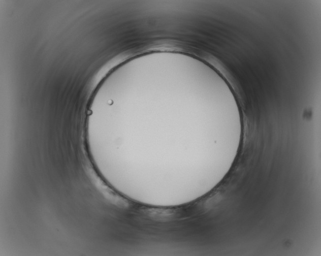 X0000113210861200910081315