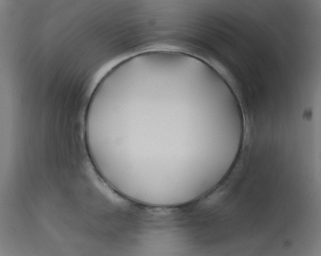 X0000113210862200910081315