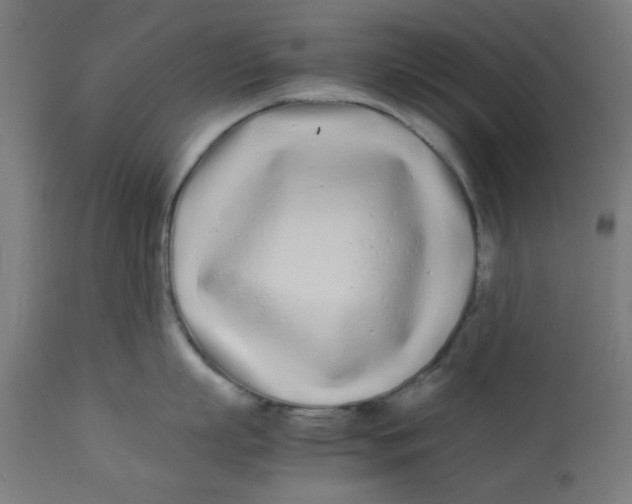 X0000113210863200910081315