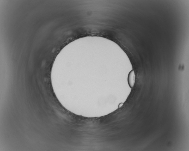 X0000113210865200910081315