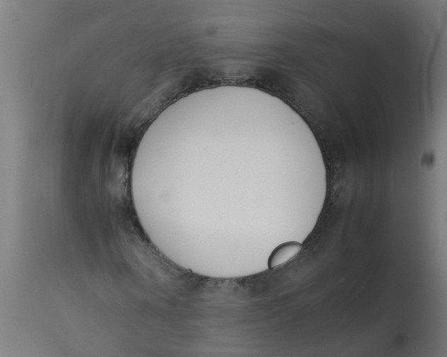 X0000113210866200910081315