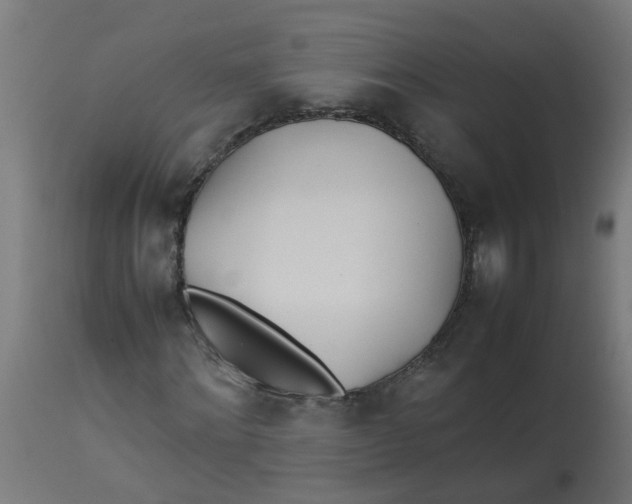 X0000113210868200910081314