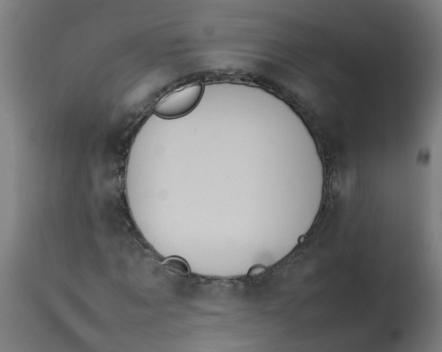 X0000113210869200910081314