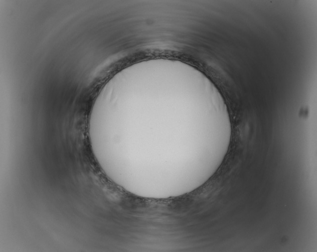 X0000113210870200910081314