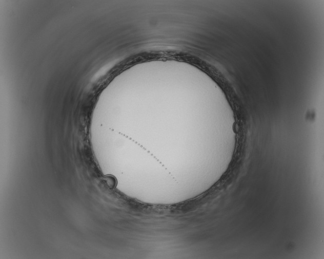 X0000113210871200910081314