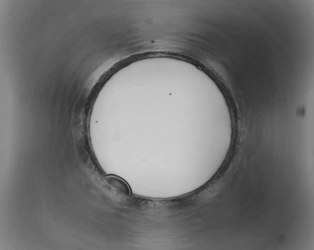 X0000113210875200910081314